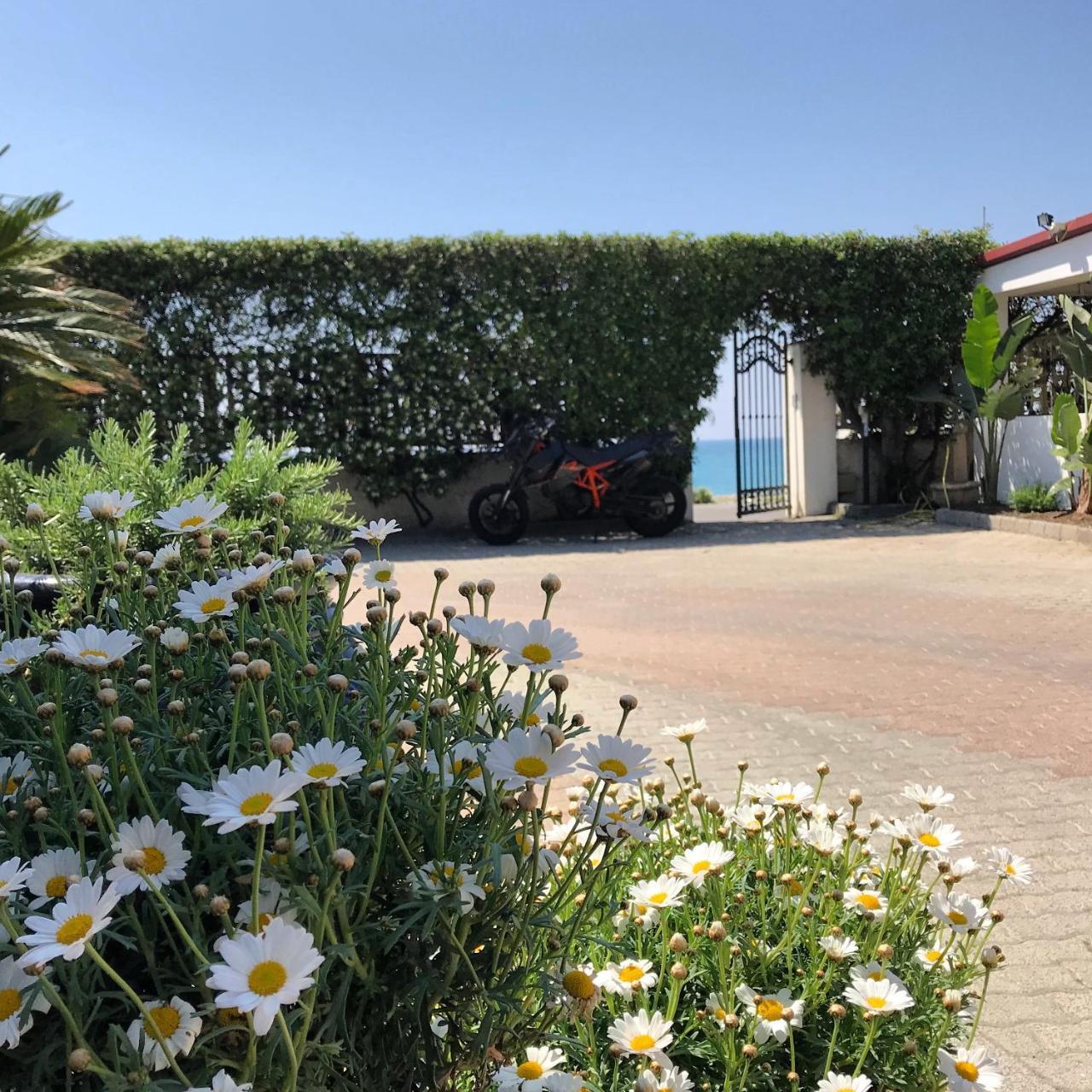Camping Vallecrosia Exterior photo